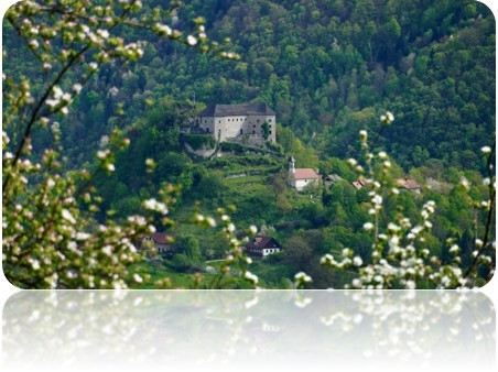 Grad Kostel 8